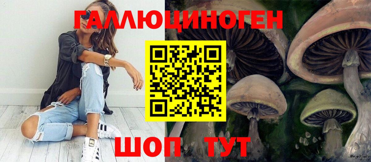 Галлюциногенные грибы ЛСД  Вход с VPN  закладка  Галлюциногенные грибы Magic Shrooms  Усть-Джегута 