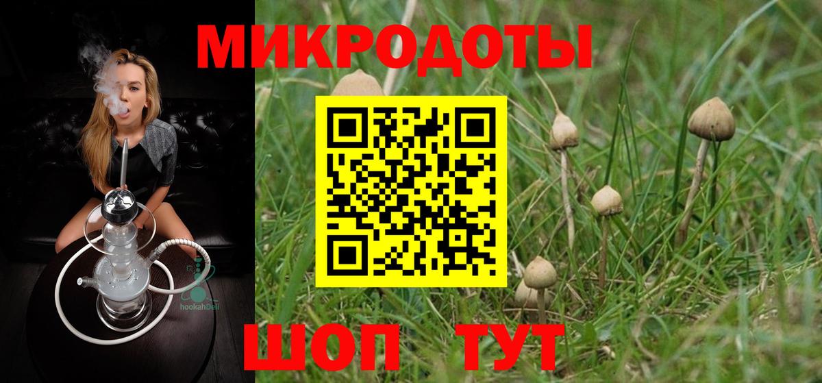 Псилоцибиновые грибы GOLDEN TEACHER Усть-Джегута
